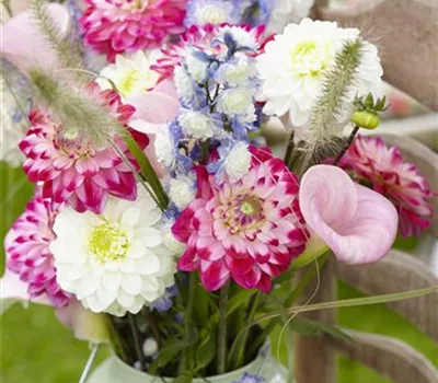 Beauty-Kur für den Blumenstrauß: Pülverchen und Hausmittel