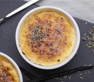 Crème brûlée mit Lavendel Crème brûlée mit Lavendel