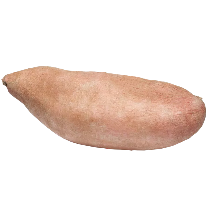 Süßkartoffel 'Erato'® Orange