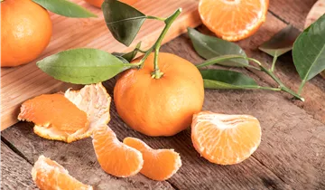 Zum Vergrößern klicken Bildvorschau