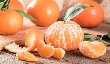 Zum Vergrößern klicken Bildvorschau